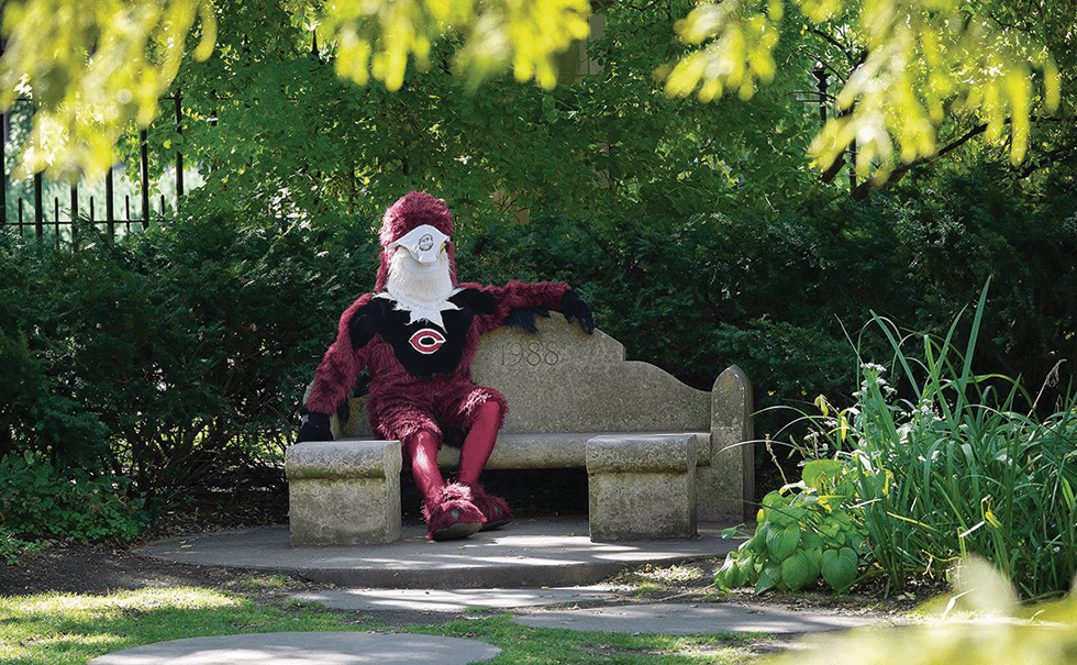 Image of Phil the Phoenix mascot wearing mask sitting on campus