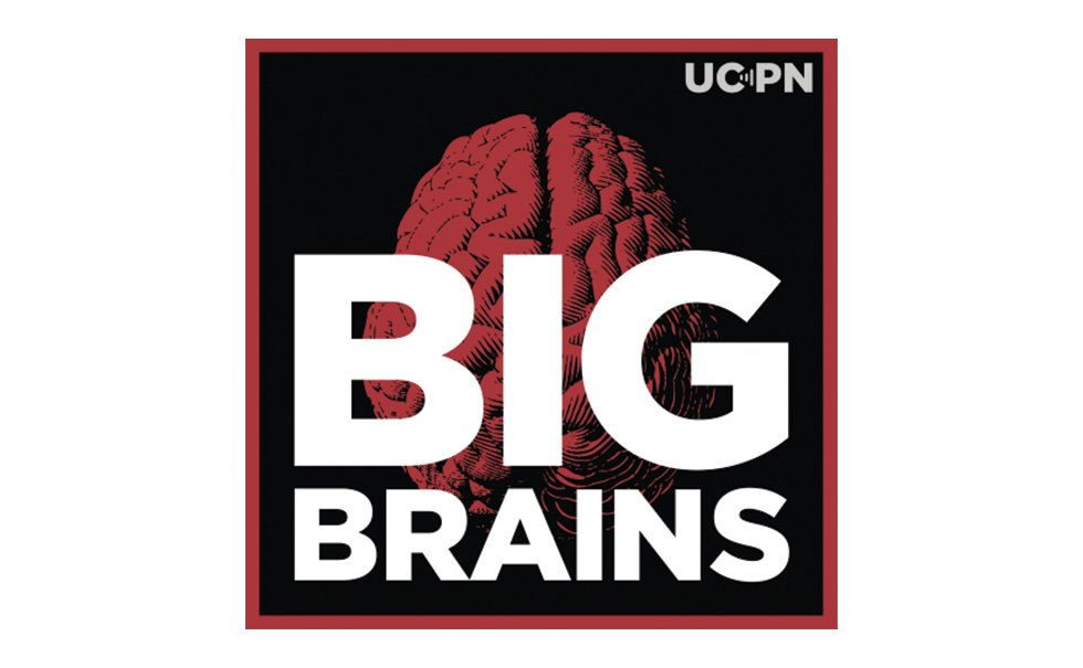 Logo showing image of brain and name of Big Brains podcast